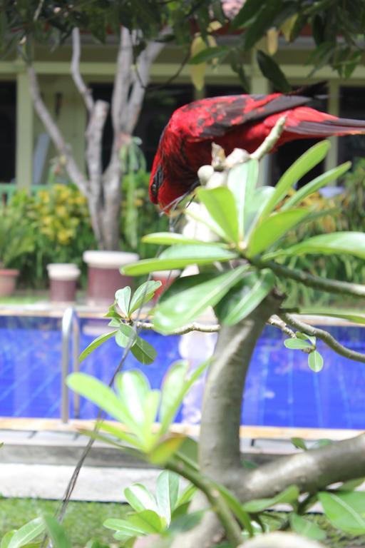 Hotel Puri Nusantara Kuta  Luaran gambar